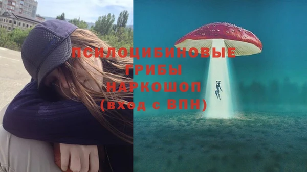 индика Михайловка