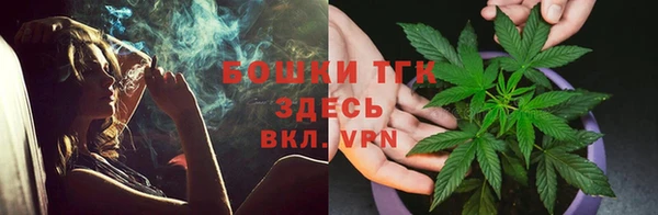 индика Михайловка