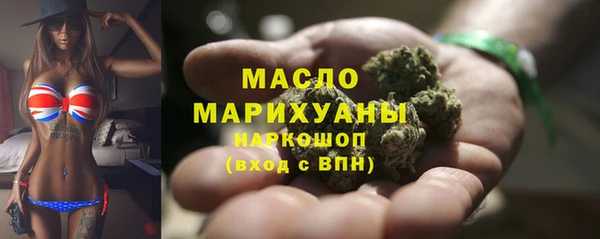 дживик Надым