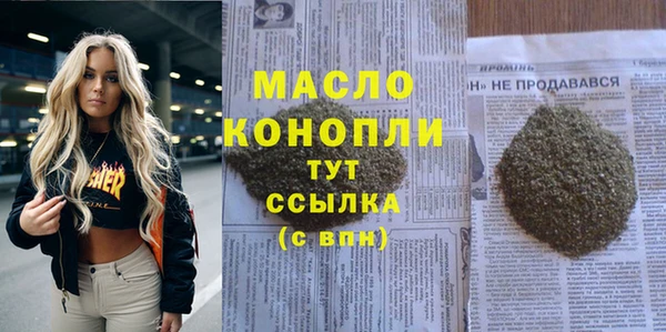 индика Михайловка
