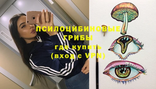 индика Михайловка