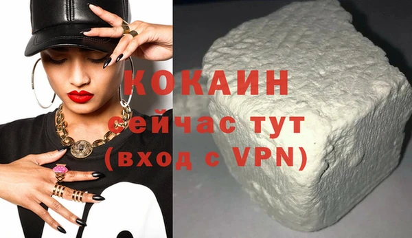 индика Михайловка