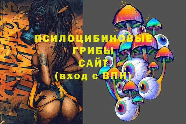 таблы Гусев